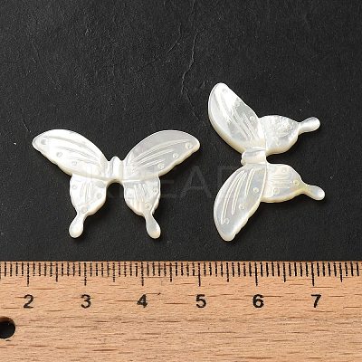 Natural White Shell Beads SHEL-M021-09B-1