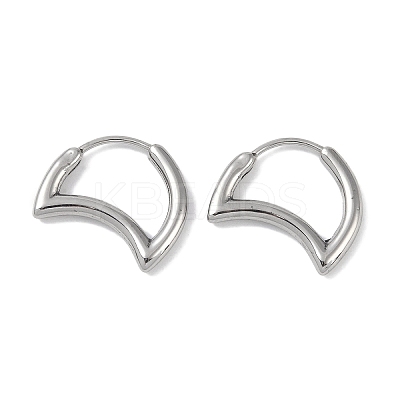 Non-Tarnish 316 Surgical Stainless Steel Hoop Earrings for Women EJEW-P274-18A-P-1