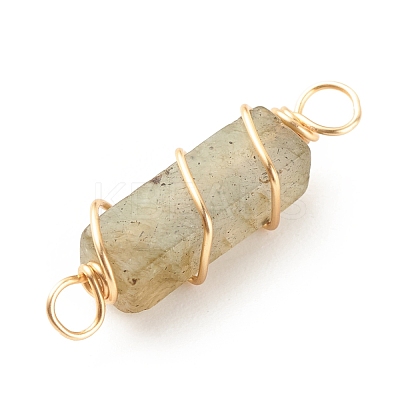 Natural Labradorite Connector Charms PALLOY-JF01580-01-1