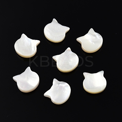 Natural White Shell Beads SSHEL-N003-142-1