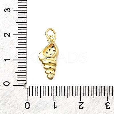 Brass Micro Pave Cubic Zirconia Pendants KK-F896-04G-1