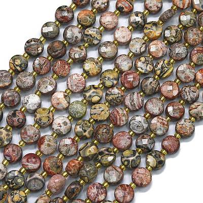 Natural Leopard Skin Jasper Beads Strands G-K389-B17-01-1