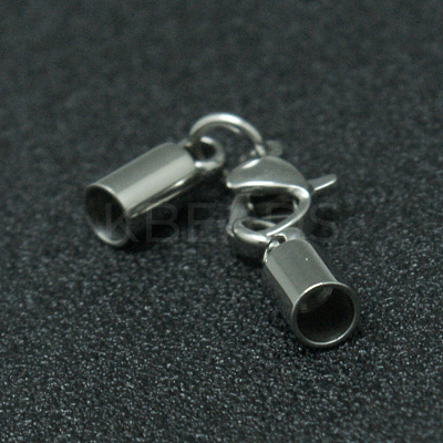Tarnish Resistant 304 Stainless Steel Lobster Claw Clasps LS-STAS-I045-45-1