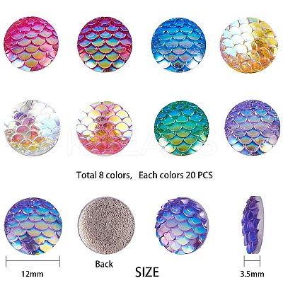Resin Cabochons CRES-SC0001-03-1