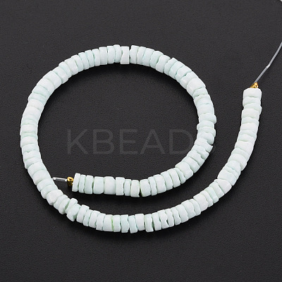 Sea Shell Beads Strands SSHEL-T014-49-1
