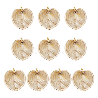 10Pcs Natural Shell Pendants PALLOY-TAC0204-1