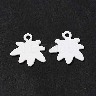 Spray Painted 201 Stainless Steel Charms LS-STAS-I672-17B-1