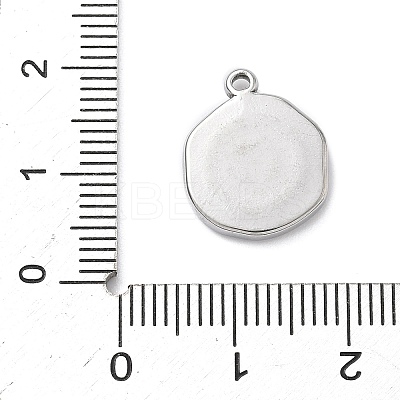 304 Stainless Steel Pendants LS-STAS-K291-12P-01-1