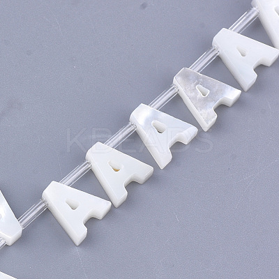 Natural Sea Shell Beads SHEL-T012-60-1