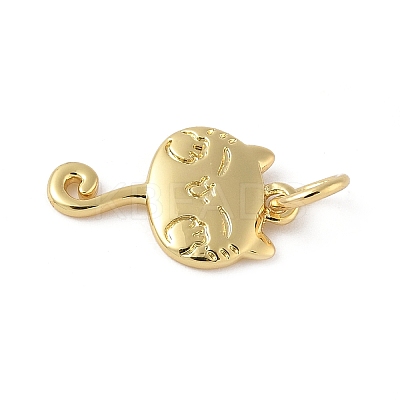 Brass Pendants KK-L245-03G-04-1