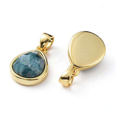 Natural Apatite Charms G-L553-47G-1