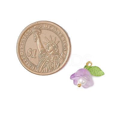 Glass Charms PALLOY-MZ00838-05-1
