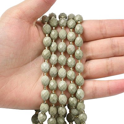 Natural Alashan Agate Beads Strands G-F809-A10-01-1