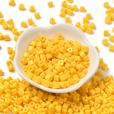 Baking Paint Glass Bead SEED-H002-K-D301-1