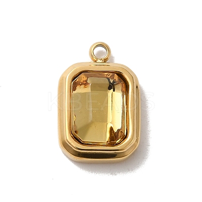 304 Stainless Steel Glass Pendants STAS-L022-062G-05-1