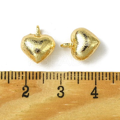 Brass Charms FIND-Z035-10G-1