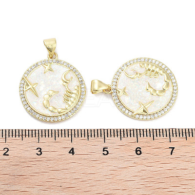 Brass Micro Pave Clear Cubic Zirconia Pendants KK-L213-010G-01-1