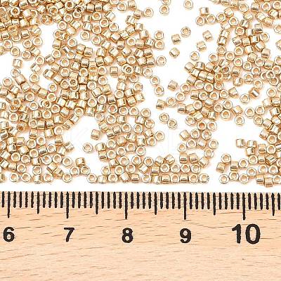 MIYUKI Delica Beads SEED-MY11-DB2501-1
