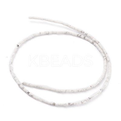Natural Howlite Beads Strands G-H255-03-1