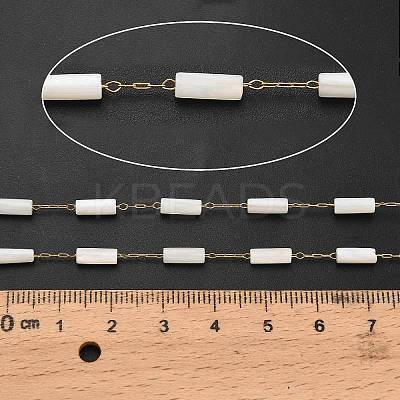 Handmade 304 Stainless Steel Shell Beads Column Link Chains CHS-B011-06G-1