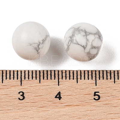 Natural Howlite No Hole Sphere Beads G-K353-04A-20-1