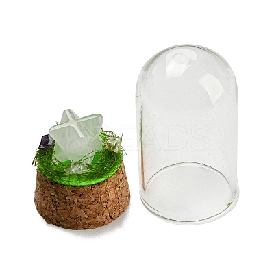 Natural Quartz Crystal Polygon Display Decoration with Glass Dome Cloche Cover DJEW-B009-05J-1