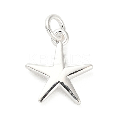 925 Sterling Silver Charms LS-FIND-Z069-04S-A-1
