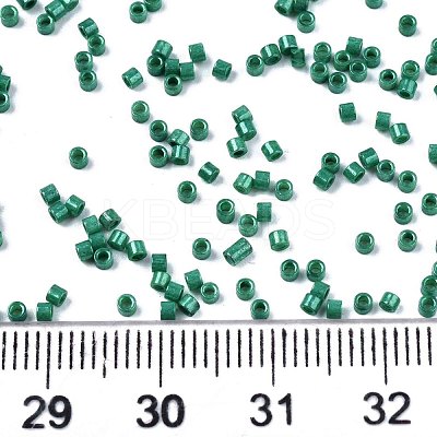 FGB 11/0 Grade A Baking Paint Glass Seed Beads X-SEED-S030-1039-1