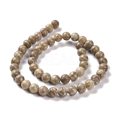 Natural Maifanite/Maifan Stone Beads Strands G-I187-10mm-01-1