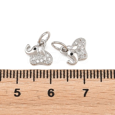 Brass Micro Pave Clear Cubic Zirconia Charms KK-H292-56C-P-1