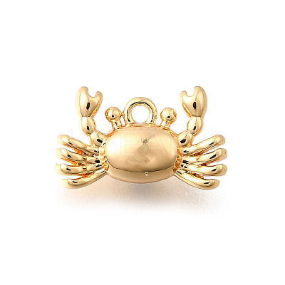 Ocean Theme Brass Charms KK-C096-13B-G-1