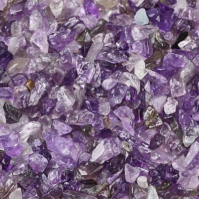 Natural Amethyst Chip Beads X-G-L453-06-1