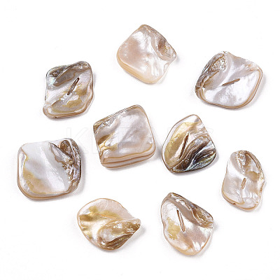 Freshwater Shell Beads X-SSHEL-T005-11-1