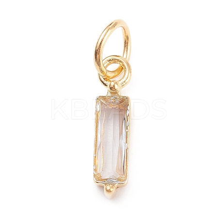 304 Stainless Steel Cubic Zirconia Pendants STAS-E487-21G-10-1