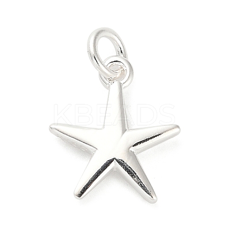 925 Sterling Silver Charms LS-FIND-Z069-04S-A-1