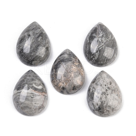 Natural Map Stone Cabochons G-H094-01A-34-1