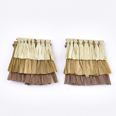 Raffia Tassel Pendant Decoration LS-FIND-T023-12-1