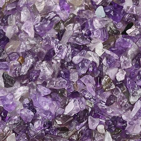 Natural Amethyst Chip Beads X-G-L453-06-1