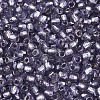 Silver Lined Glass Seed Beads SEED-T007-18A-08-3