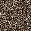 6/0 Glass Seed Beads X1-SEED-L011-08A-09-3