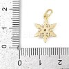 Rack Plating Brass Micro Pave Cubic Zirconia Pendants LS-KK-H509-12G-02-3