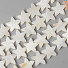Natural Freshwater Shell Beads Strands SHEL-N026-72-1