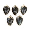 Natural Labradorite Faceted Pendants G-M431-06G-12-1