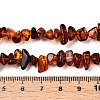 Natural Amber Beads Strands G-T138-235D-4