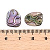 Natural Paua Shell Nuggets Charms SHEL-T020-11B-3