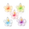 Transparent Resin Pendants RE-CBA5F64-01-1
