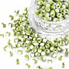 6/0 Glass Seed Beads SEED-S007-8-1