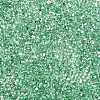 Baking Paint Transparent Glass Seed Beads SEED-N006-05J-3