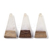 Resin & Wood Pendants WOOD-F015-03H-1