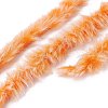 Polyester & Nylon Blended Yarn LS-YCOR-C001-01O-3